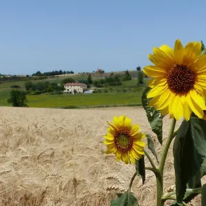 Des Camparros Maison d'hôtes